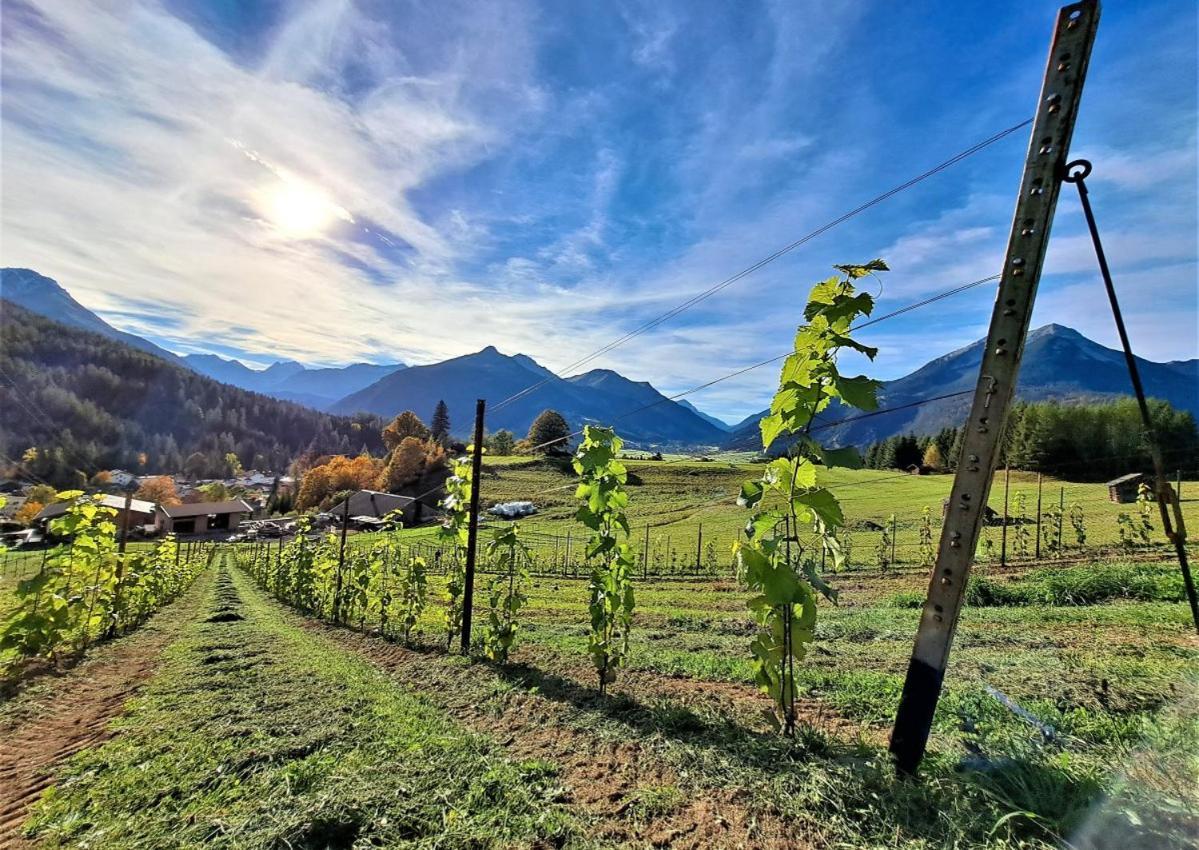 Der Trueferhof Lägenhet Ehrwald Exteriör bild
