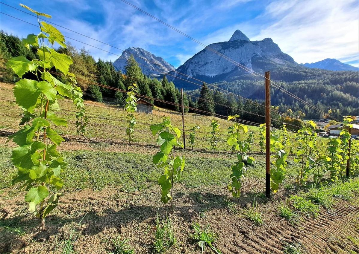 Der Trueferhof Lägenhet Ehrwald Exteriör bild